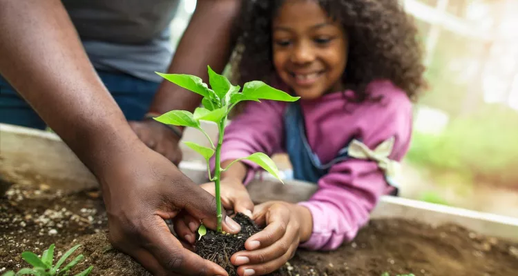 Children planting garden